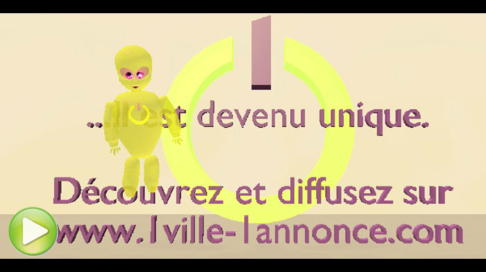 concept 1 ville 1 annonce unique